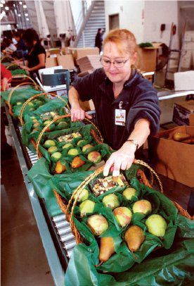 Factory tours for Amy Bertrand